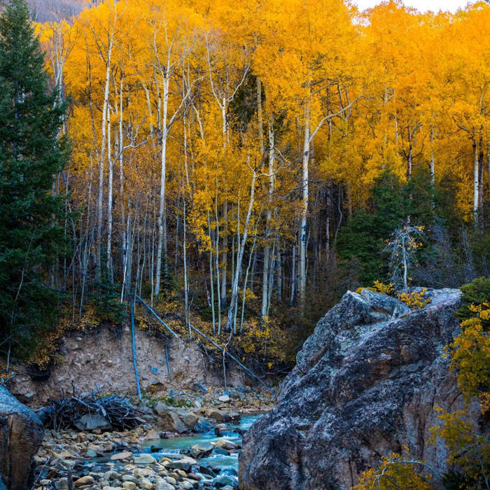 Autumn's Treasures: Must-See Hiking Trails in the U.S.